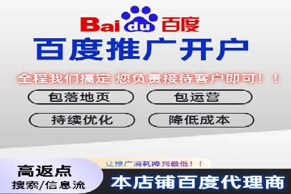 百度广告推广的投放策略与市场分析
